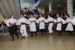 IGDS-026